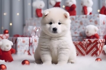 Fototapeta na wymiar 子犬とクリスマスプレゼント