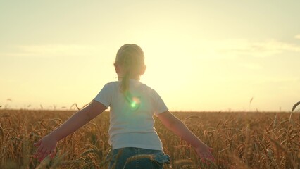 Child girl run across wheat field, sunset. Little girl runs on wheat field, wants to be superhero....