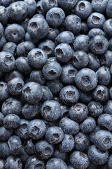 Wet fresh blueberries as background, top view