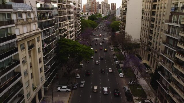 Drone view of a beautiful road in the city, the camera flies through the center between the houses, a jacaranda tree in Buenos Aires, cars drive into the distance