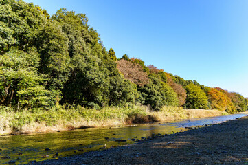 綺麗な渓谷の秋景色