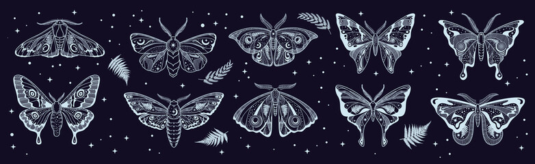 Celestial magic mystic moth. Butterfly silhouette esoteric tattoo or icon. Mystical butterfly, magic night insect or fantasy lunar moth engraving vector print or background with fern leaves and stars - obrazy, fototapety, plakaty