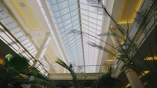 A large glass roof in the greenhouse through which the interior space is illuminated