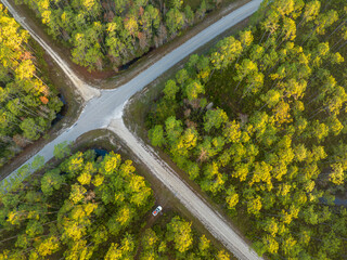 road crossing at sunrise - Apalachicola National Forest in Florida, aerial view