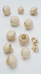 マッシュルーム・ホワイトマッシュルーム