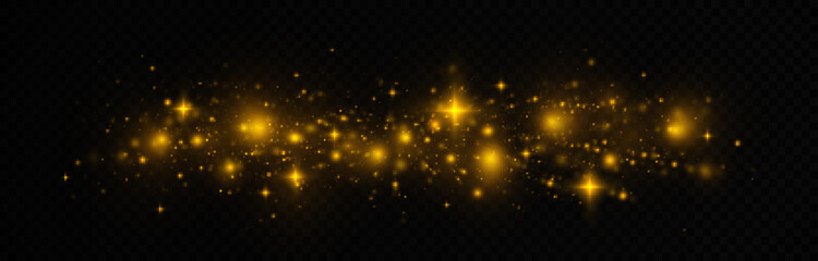 Fototapeta na wymiar Golden blurred lights, bokeh and particles. Glitter light background. Sparkle dust twinkle isolated on transparent background.