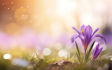 Foto op Plexiglas Happy start of spring poster. Beautiful purple iris close up on nice blurred background. Spring flowers in the garden. Copy space. Pastel colors. Bokeh, de focus, evening sun light. AI Generative. © your_inspiration