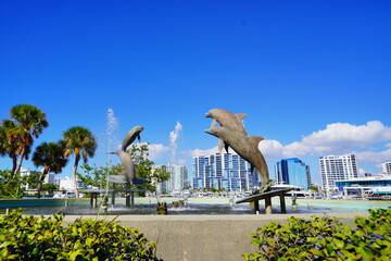 Sarasota bay harbor and bay front landscape	