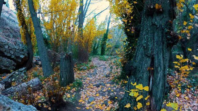 Paseo fluvial r&iacute;o guadalaviar en albarrac&iacute;n