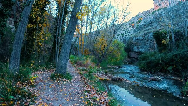 Paseo fluvial r&iacute;o guadalaviar en albarrac&iacute;n