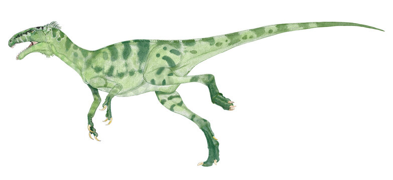 小型肉食恐竜ノアサウルスの想像図　風変わりな風貌を持つ。