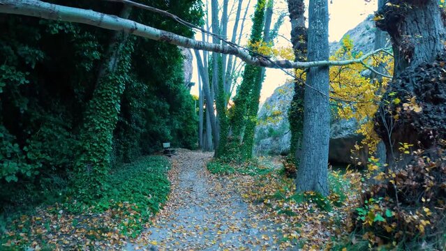 Paseo fluvial r&iacute;o guadalaviar en albarrac&iacute;n