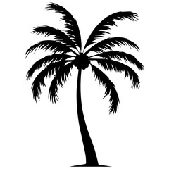 Coconut tree vector silhouette illustration black color, coconut tree icon vector