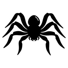 Spider vector illustration black color, spider animal vector silhouette