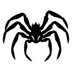 Spider vector illustration black color, spider animal vector silhouette