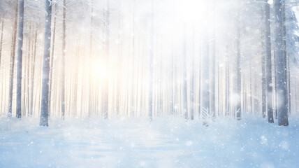 Naklejka premium snowfall in the morning misty forest, landscape wildlife of winter, sun rays between the trees, seasonal calendar abstract background copy space December or January
