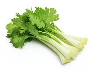 Celery isolated on white.