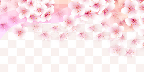 桜　春　水彩　背景