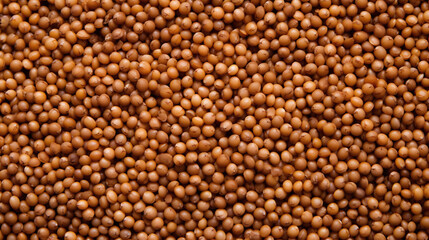 Fototapeta premium Top view full frame of whole ripe sorghum seeds placed together as background.
