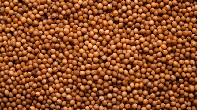 Top view full frame of whole ripe sorghum seeds placed together as background.