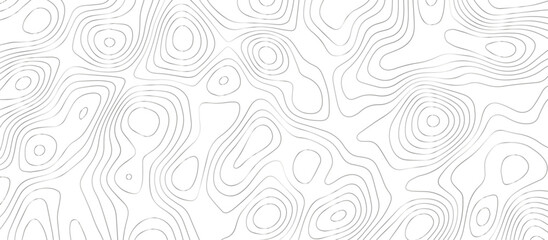Fototapeta premium abstract pattern with swirls .abstract White wave paper curved reliefs background .Panorama view gradient multicolor wave curve lines banner background design. wave Line topography map background.