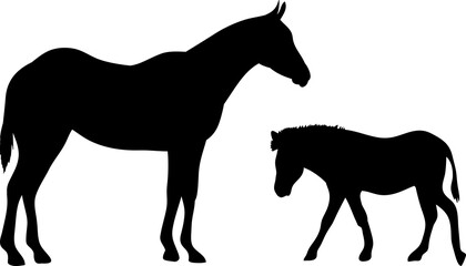Silhouette of horses - Horse illustrations isolated on white background　向かい合う二頭の馬のシルエットイラスト