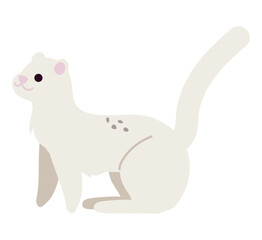 arctic animal ferret