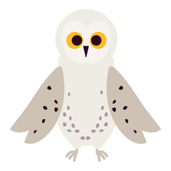 arctic animal owl