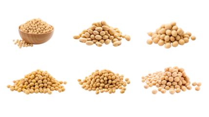 Collection of PNG. Soy bean isolated on a transparent background.