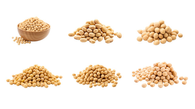Collection of PNG. Soy bean isolated on a transparent background.