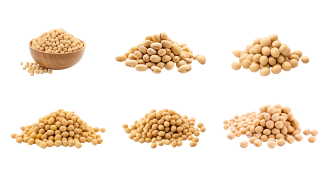 Collection of PNG. Soy bean isolated on a transparent background.