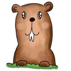 groundhog