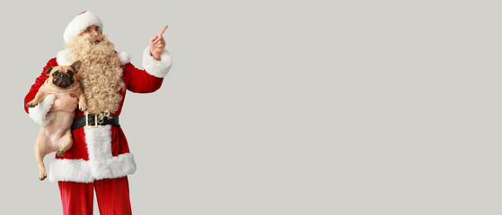 Santa Claus holding cute French bulldog and pointing at something on grey background with space for text