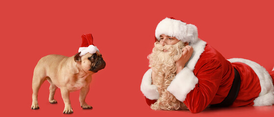 Santa Claus and cute French bulldog on red background