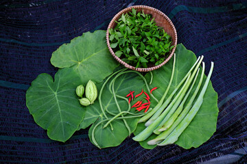 Agriculture product crop from rooftop garden by organic farming