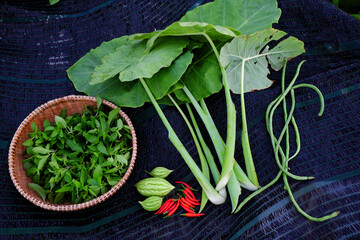 Agriculture product crop from rooftop garden by organic farming
