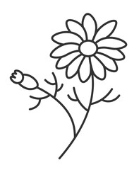 Flower with blossom, drawing of plant in garden
