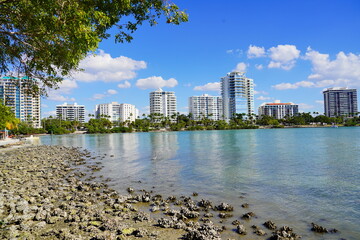 Sarasota bay harbor and bay landscape	