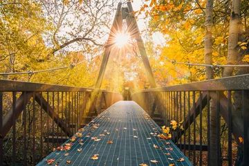 Fotobehang A Metal Bridge in Forest, Toronto Canada © Rey
