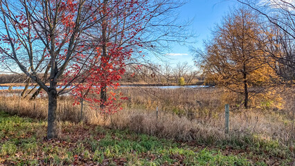Colorful Fall Foliage in the Park with a Lake 