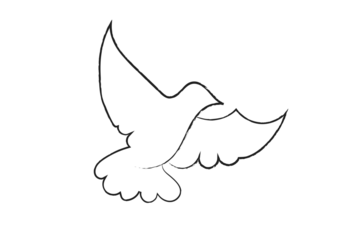 Digital png illustration of black and transparent pigeon with copy space on transparent background