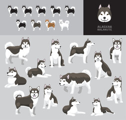 Dog Alaskan Malamute Grey Coat Cartoon Vector Illustration Color Variation Set