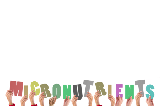 Digital png illustration of hands with micronutrients text on transparent background