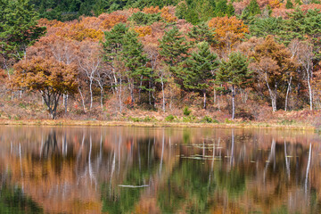 映る紅葉