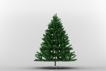 Digital png illustration of green christmas tree on transparent background