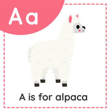 Learning English alphabet for kids. Letter A. Cute cartoon alpaca.