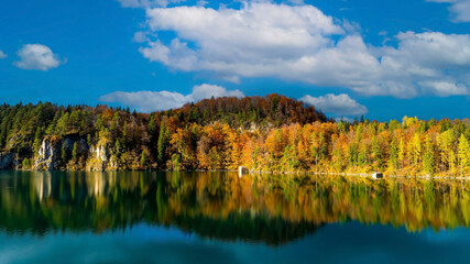 Panoramic view  of the Alpsee lake in Autumn trees season and Bavaria Alps in background, beautiful reflections in water