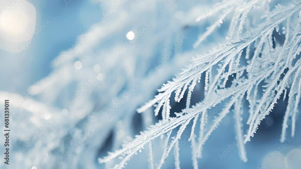 Poster a of pine needles, each one coated in a thin layer of frost. the delicate, icy crystals add a touch 