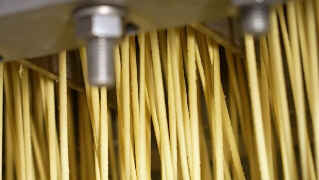 Noodles in strips in an industrial processor. Noodle and noodle factory. Noodle Strings Boiling