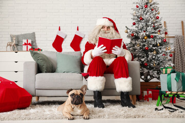 Santa Claus with book and cute French bulldog in room decorated for Christmas